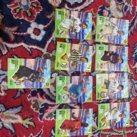 کیمدی کلکسیون راک استار