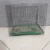 قفس سهره ، لونه عروس هلندی و گیرینچیک