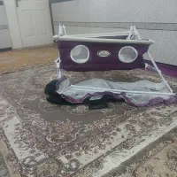 پیشبند کامل نوباتوری