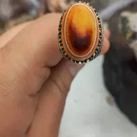 انگشتر باباقوری مهره کهنه سه پوست سلیمانی کد ۱|جواهرات|اصفهان, شیخ اشراق|دیوار