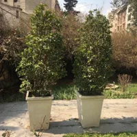 مشارکت، ۶۳۰ متر، متل قو (سلمان شهر) قشقایی|مشارکت در ساخت املاک|سلمان‌شهر, |دیوار