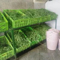 کارمند سبزی خرد کنی|استخدام خدمات فروشگاه و رستوران|پیشوا, |دیوار