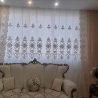 پرده و زبرا