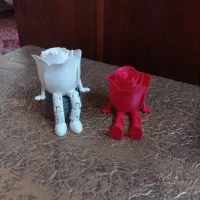 رز دکوری مناسب کادو دادن