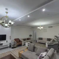 دو عدد لوستر جنس در جه یک