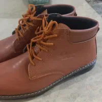 نیم بوت چرم|کیف، کفش، کمربند|دورود, |دیوار