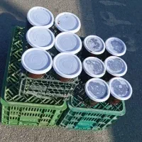 رب انار|عمدهفروشی|انبارآلوم, |دیوار