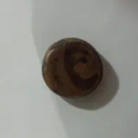 سکه قدیمی|کلکسیون سکه، تمبر، اسکناس|بروجرد, |دیوار