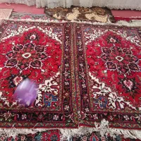 فرش|فرش|خواجه, |دیوار