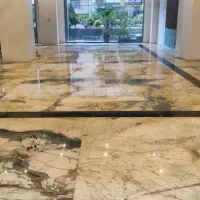 کفسابی تخصصی و مدرن با ماندگاری بالا|خدمات نظافت|تهران, ونک|دیوار