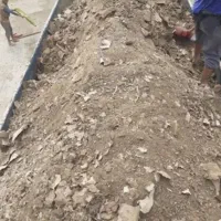 کود مرغی کود گوسفندی کود گاوی|خدمات باغبانی و درختکاری|ماهدشت, |دیوار