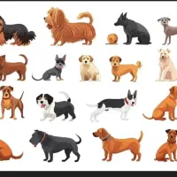 درخواست واگذاری رایگان سگ