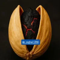 فروش  عمده و خورده زغال پسته ای|عمده‌فروشی|ساری, |دیوار