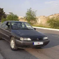 زانتیا ۸۱