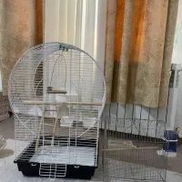 قفس پرنده طوطی مرغ عشق دوعدد|لوازم جانبی حیوانات|سیرجان, |دیوار