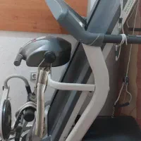 تردمیل برند گرین لایف|تجهیزات ورزشی|بوشهر, |دیوار