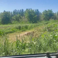 کار در مزرعه