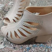 کفش|کیف، کفش، کمربند|پائین جام, |دیوار