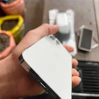 ایفون 12 پرو مکس|موبایل|شوط, |دیوار