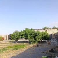 فروش گاوداری ۱۵۰۰ متر|فروش دفتر صنعتی، کشاورزی، تجاری|مشهد, اسماعیل آباد|دیوار