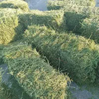 پرس یونجه چین چهار پرگل.وبیست عدد پرس شبدر چین دو|لوازم جانبی حیوانات|بروجرد, |دیوار