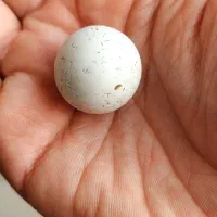 الماس آسیاب اصل سختی ۱۰ چگالی ۳.۵۲|جواهرات|شهرکرد, |دیوار