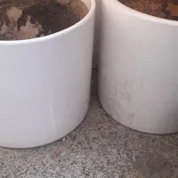گلدان سرامیکی بزرگ نو قیمت مناسب فروش فوری