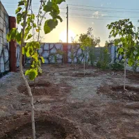 باغچه ۲۵۰ متری سند تک برگ|فروش زمین و ملک کلنگی|تهران, یافت آباد جنوبی|دیوار