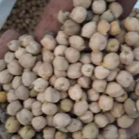 نخود|خوردنی و آشامیدنی|سرپل ذهاب, |دیوار