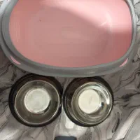 وسایل گربه ظرف خاک و غذا