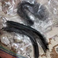 لوازمکاشت مژه اصلاحتی یکباراستفاده نشده|آرایشی، بهداشتی، درمانی|آستانه اشرفیه, |دیوار