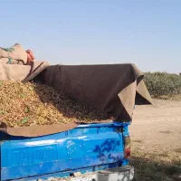 وانت نیسان بار|خدمات حمل و نقل|گناباد, |دیوار