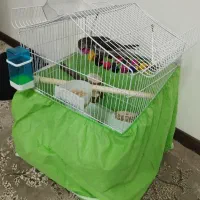 قفس زیبا کلبه ای مخصوص طوطی سانان