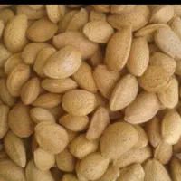 فروش بادام آبی مغز دار