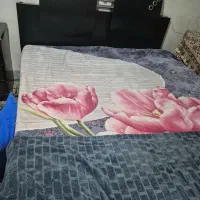 کمدو دراور و تخت|جاکفشی، کمد، دراور|اصفهان, باغ فدک|دیوار