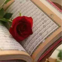 کلام الله المجید بادست خط حاج قاسم سلیمانی|صنایع دستی و سایر لوازم تزئینی|تهران, نیروی هوایی (پیروزی)|دیوار