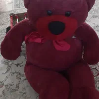 خرس بزرگ ۱۵۰۰۰