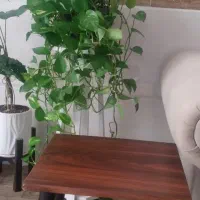 یه ست عسلی شیک