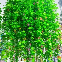 ریسه شمشاد|گل مصنوعی|قم, شاه ابراهیم|دیوار