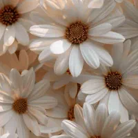 راهنمایی کنید