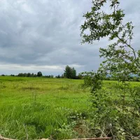 زمین بافت روستا داخل طرح هادی رضوانشهر|فروش زمین و ملک کلنگی|رضوانشهر, |دیوار