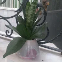 گلدان گل طبیعی