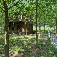 سریع برای بازدید هماهنگ شو