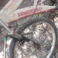 دوچرخه ۲۶|دوچرخه، اسکیت، اسکوتر|تالش, هشتپر|دیوار