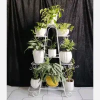 استند گلدان فرفوژه