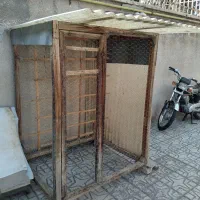 لانه.کبوتر.قیمت.مناسب