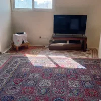 خانم پاره وقت ساعتی ۳ ملیون