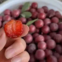 لواشک آلوچه قرمز و چند میوه با کیفیت