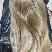 پوستیز(کلاگیس)