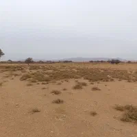 فروش زمین باغ زاویه